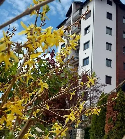 Апартаменты Velles